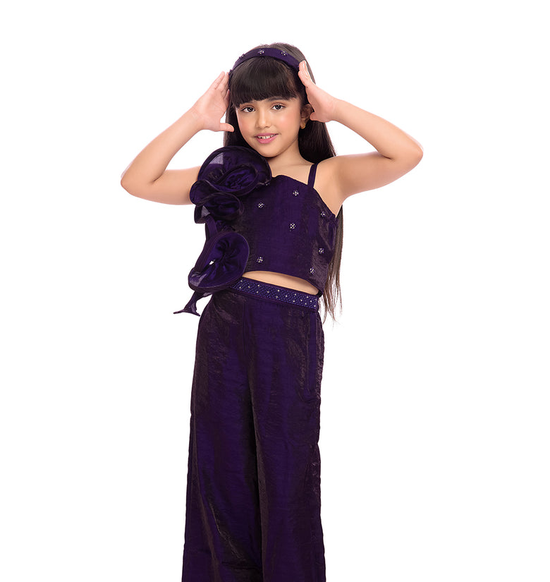 Tiny Kingdom Purple Ruffle Top & Palazzo Set for Girls